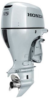 bf115